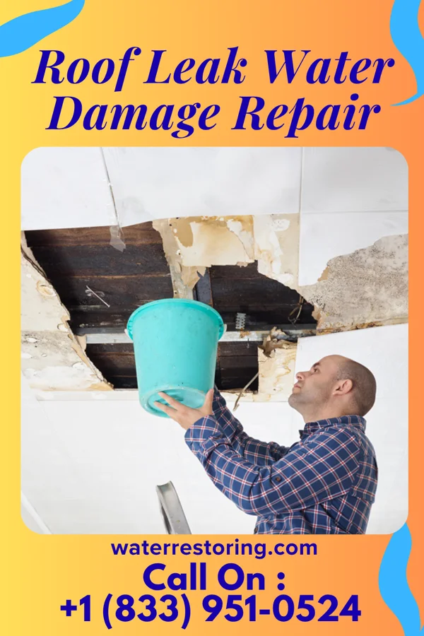 Roof Leak Water Damage Repair in Minnetrista, MN